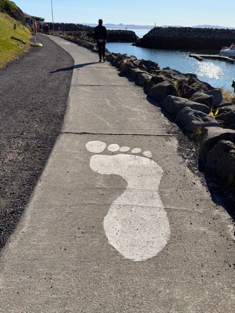 2026 ferð eldri félaga