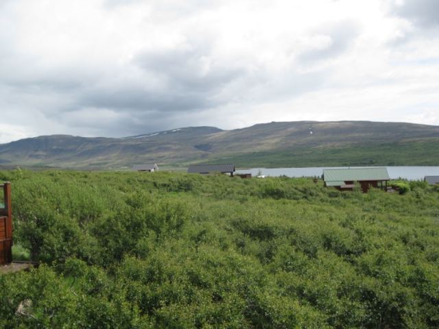 Efstiás 11, Svínadal