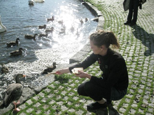 Ferð eldri félagsm. 2011
