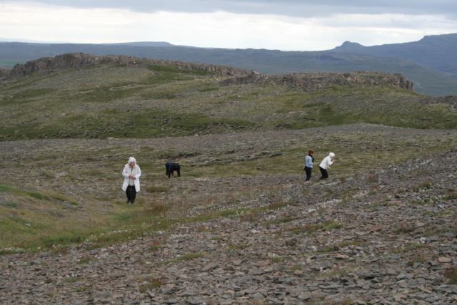 Ferð eldri félagsmanna 2013