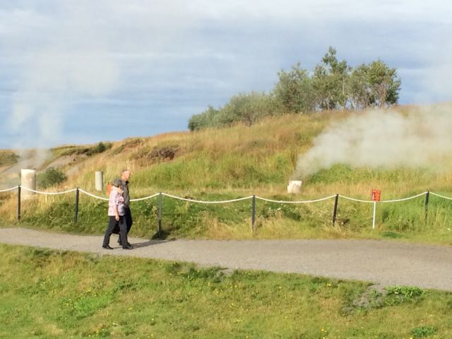 Ferð eldri félagsmanna 2014