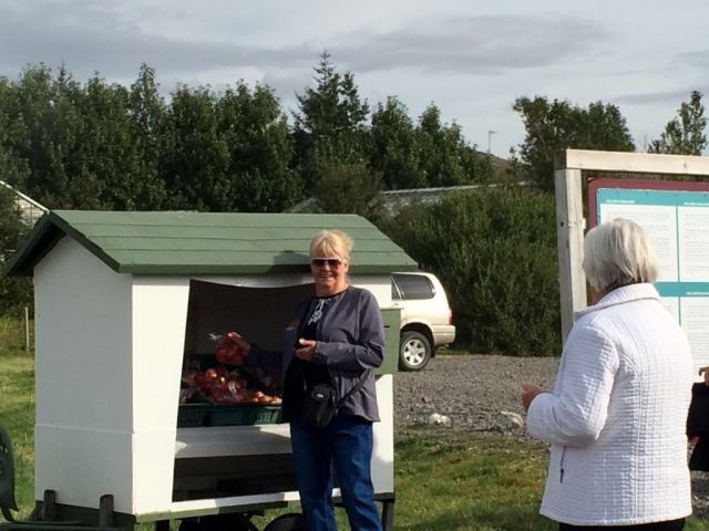 Ferð eldri félagsmanna 2014