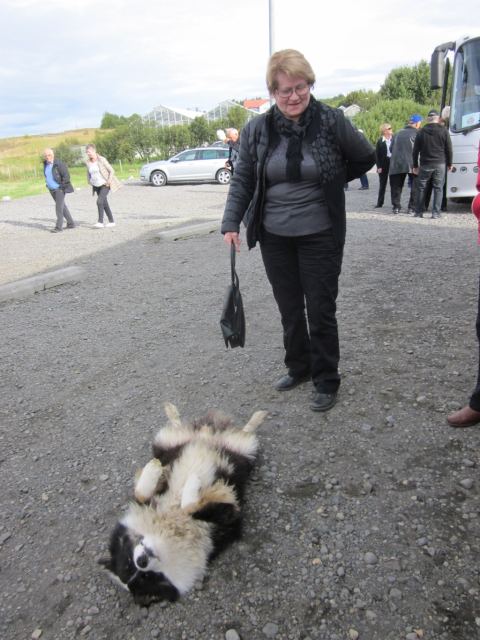 Ferð eldri félagsmanna 2014