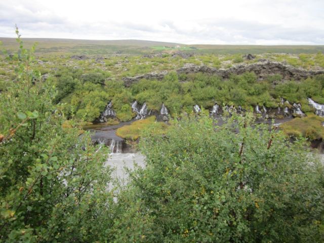 Ferð eldri félagsmanna 2014