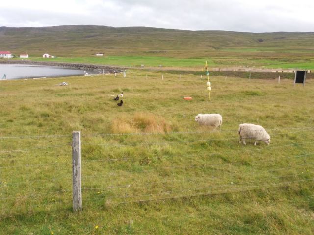 Ferð eldri félagsmanna 2017