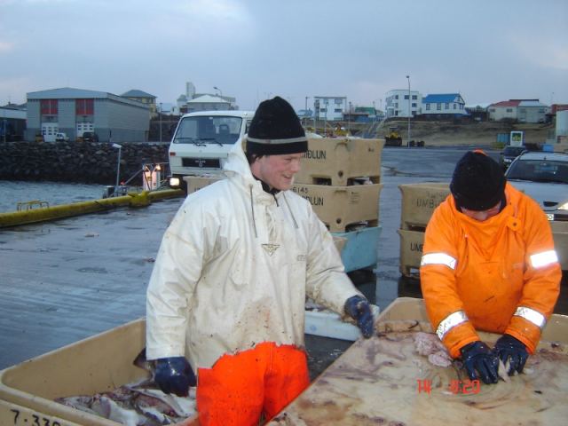 Fréttamyndir