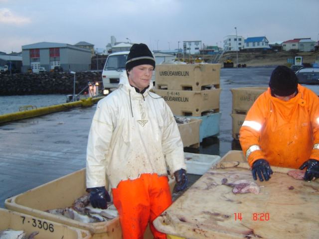 Fréttamyndir