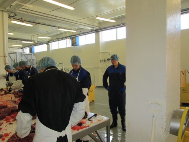 Hvalur 2013