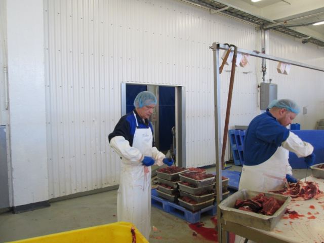Hvalur 2013