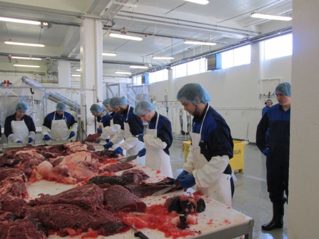 Hvalur 2013