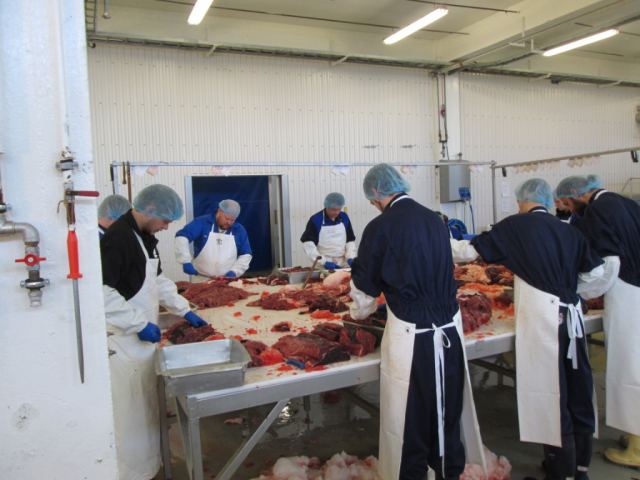 Hvalur 2013