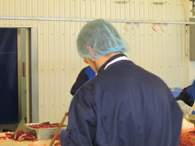 Hvalur 2013