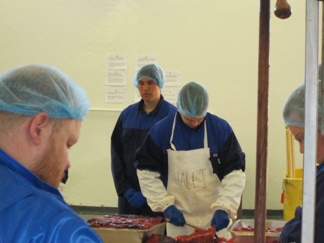 Hvalur 2013
