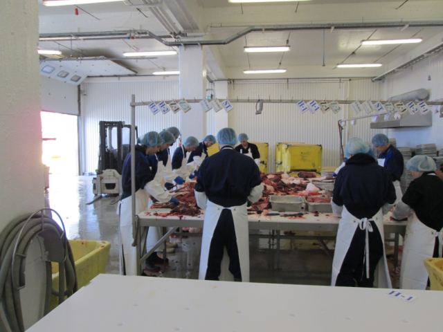 Hvalur 2013