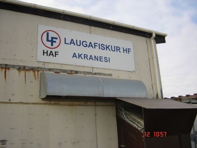 Laugafiskur