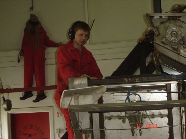 Laugafiskur