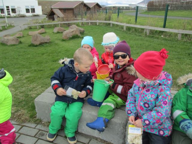 Sjómannadagurinn 2015