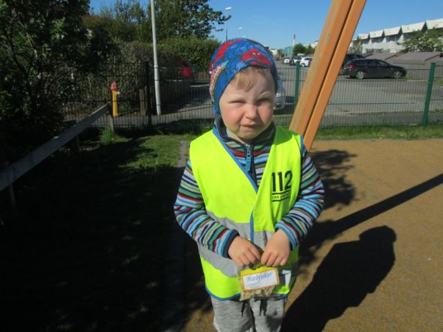 Sjómannadagurinn 2017