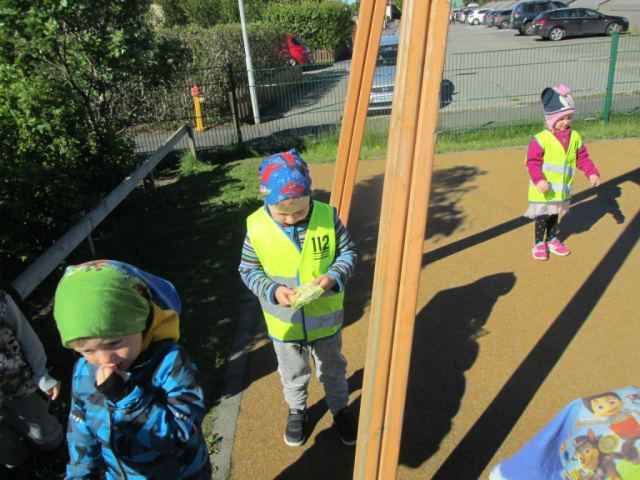 Sjómannadagurinn 2017